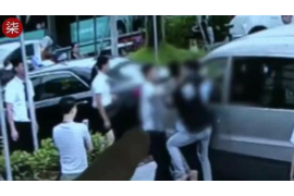 舞阳债务清欠服务