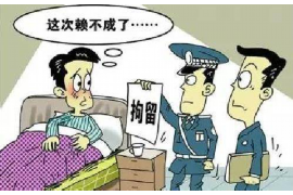 舞阳融资清欠服务
